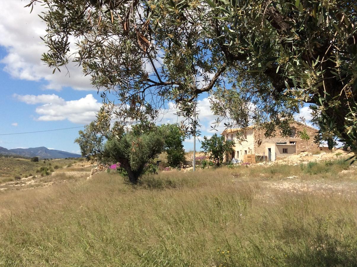 Los Cuatro Vientos B&B Torre del Rico Esterno foto